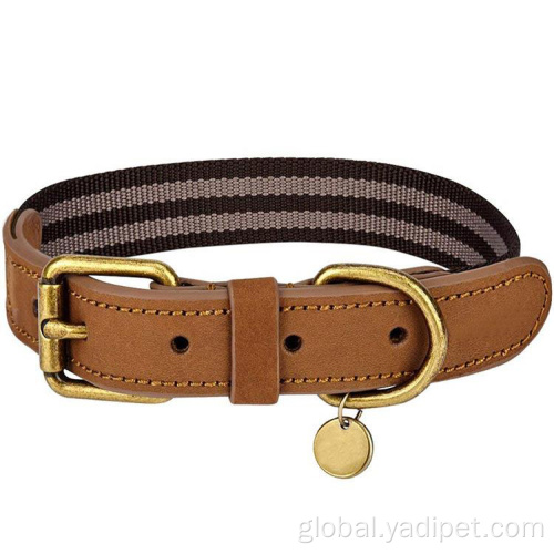 Dog Collars Logo pet dog neck collar personalized waterproof collar Supplier